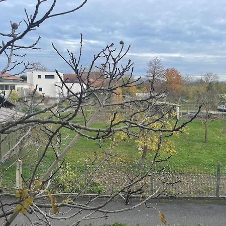 Apartmán La Grange Proche D'Europapark Kunheim Exteriér fotografie