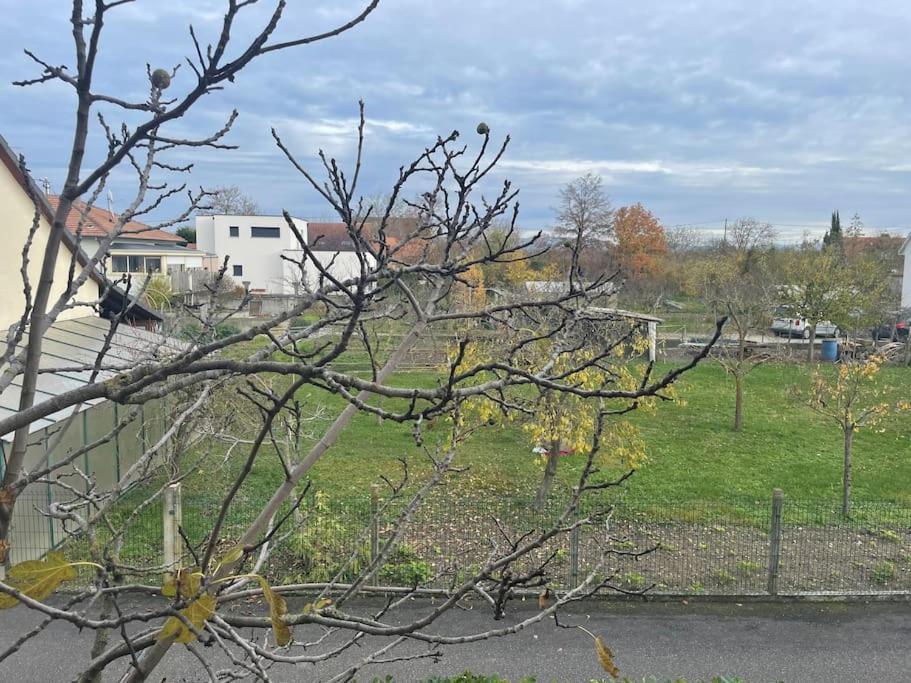 Apartmán La Grange Proche D'Europapark Kunheim Exteriér fotografie