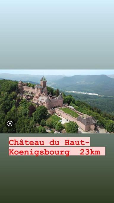 Apartmán La Grange Proche D'Europapark Kunheim Exteriér fotografie