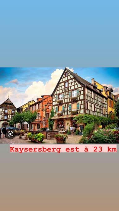 Apartmán La Grange Proche D'Europapark Kunheim Exteriér fotografie