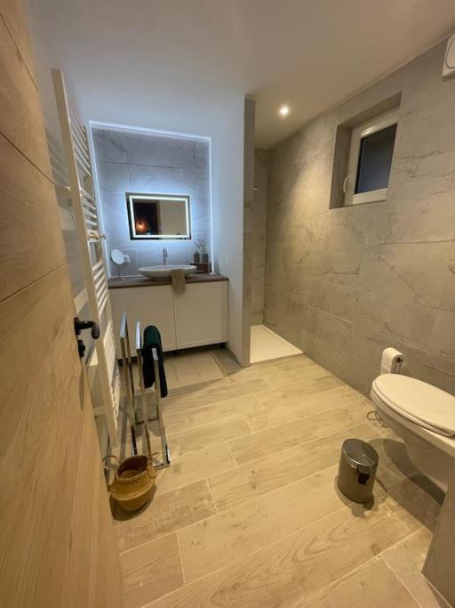 Apartmán La Grange Proche D'Europapark Kunheim Exteriér fotografie